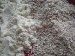 All-purpose flour next to whole wheat flour