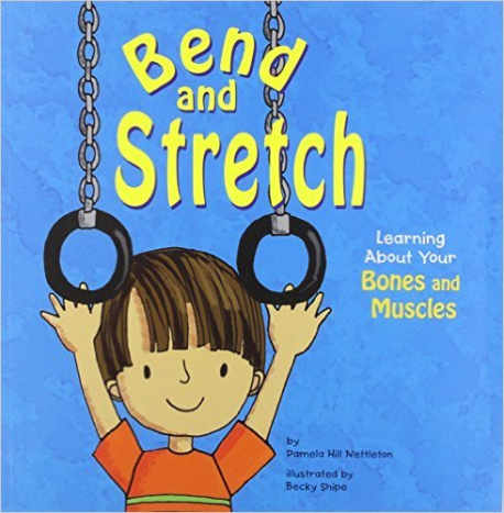 Bend and Stretch: Learning About Your Bones and Muscles (The Amazing Body) by Pamela Hill Nettleton