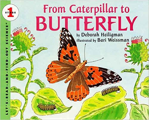 From Caterpillar to Butterfly (Let's-Read-and-Find-Out Science, Stage 1) by Deborah Heiligman 
