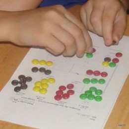 Observing how traits are passes through multiple generations by conducting the M&M Gingerbread Activity