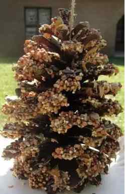 Making pine cone bird feeders using pine cones, peanut butter, bird seed, & yard