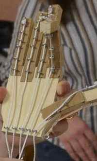 skeletal-and-muscular-systems