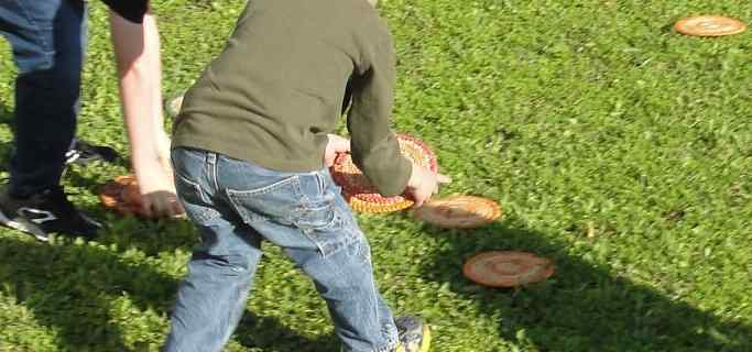 Collecting "buffalo chips"