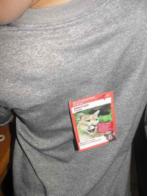 What Animal Am I? game