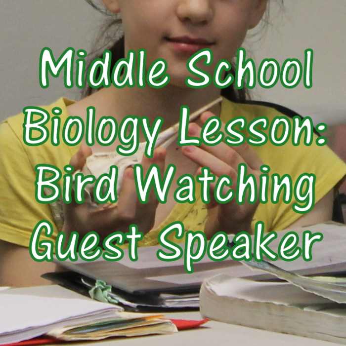 Middle School Biology Lesson on Bird Watching