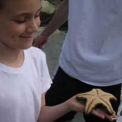 Examining a starfish on our field trip to the beach
