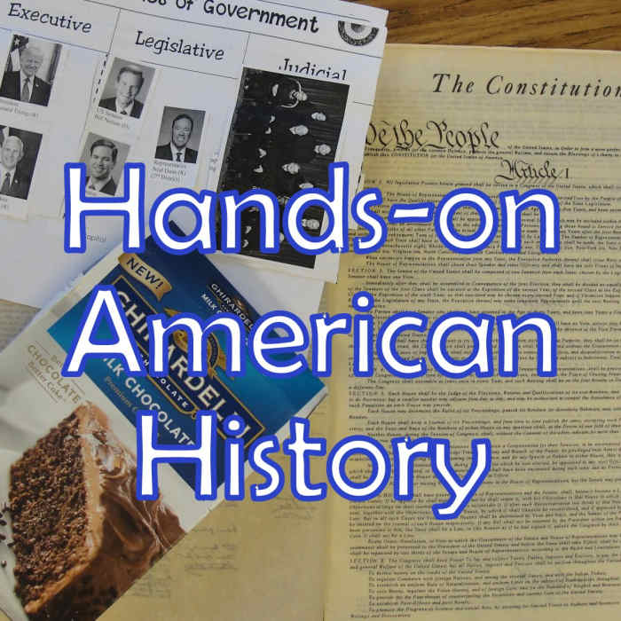 3 Branches of Government Constitution Lesson for Kids