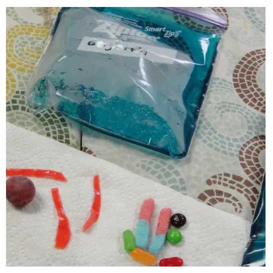 Edible model of a cell