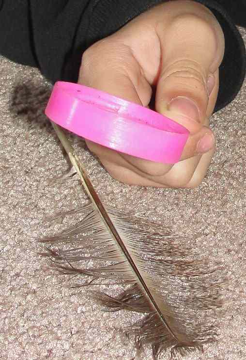 Studying a feather using a magnifying glass