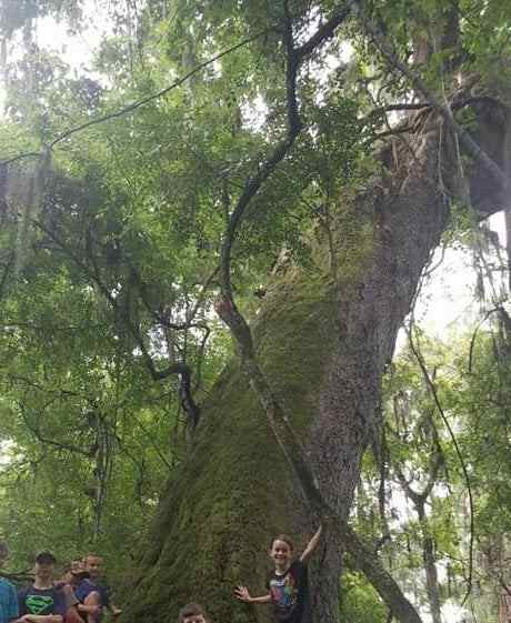 activities-for-kids-field-trips-in-live-oak-florida