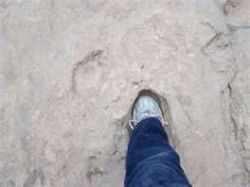 detectives-lesson-plan