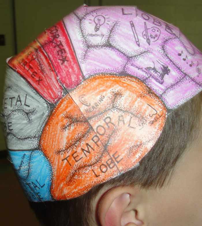 Brain Hemisphere Hat