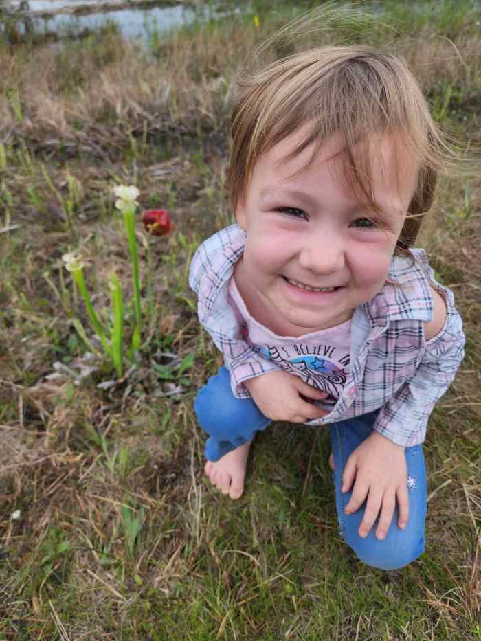 Here you can get close to them.