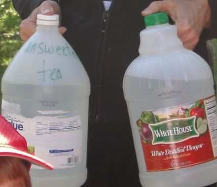 Screws Hold Things Closed