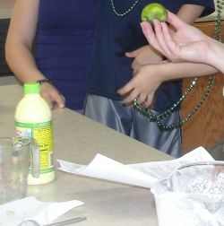 Talking about Key Limes from Florida - Some photos on this page were taken by one of the mothers in our co-op who operates Michelle Harrison Photography