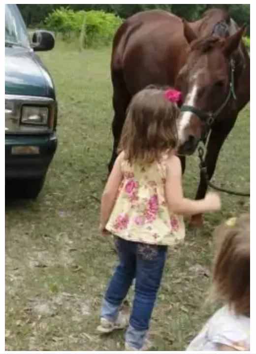 Horse Lesson Plan for Younger Children