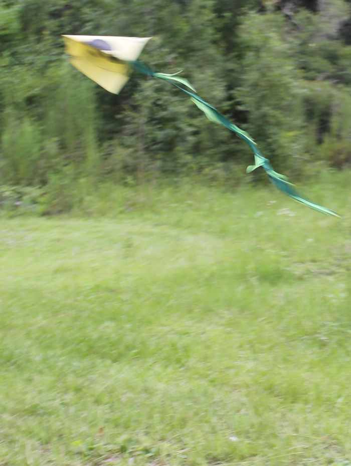 Flying homemade kites