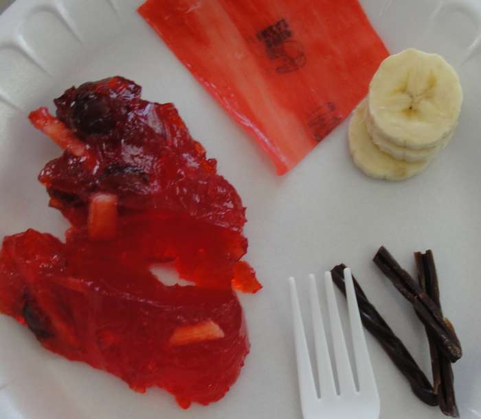 immune-system-lesson-plan