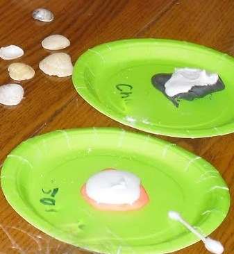 VanCleave Science Activity #128: Prints 