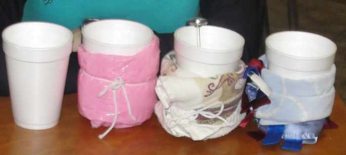 polar-exploration-lesson