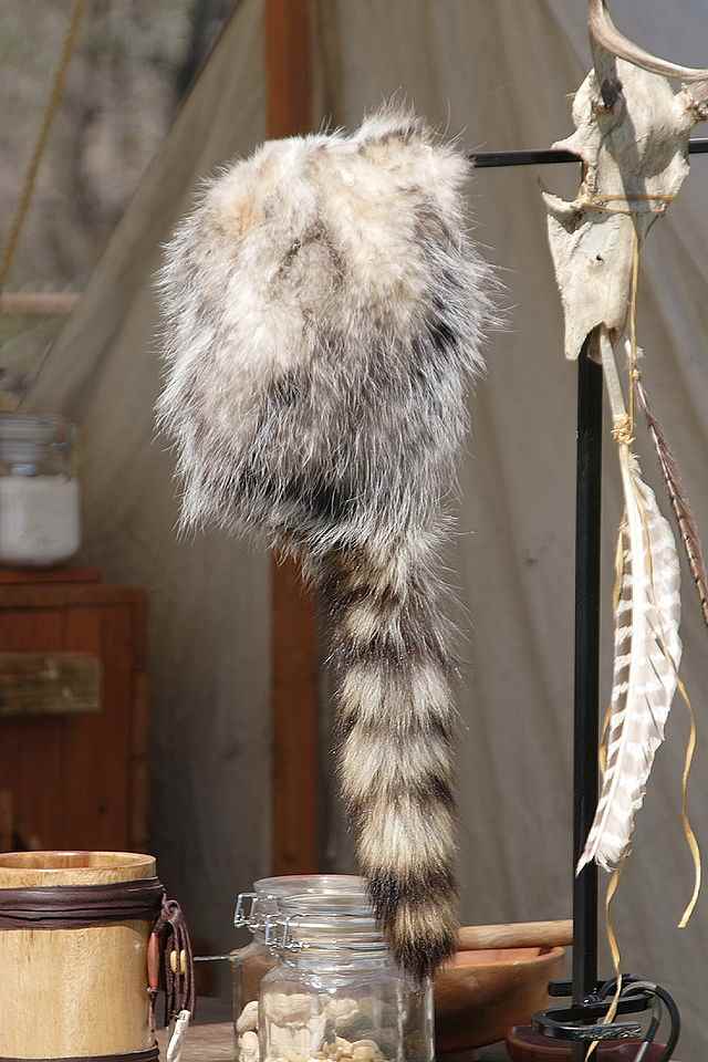 Coon Skin Hat