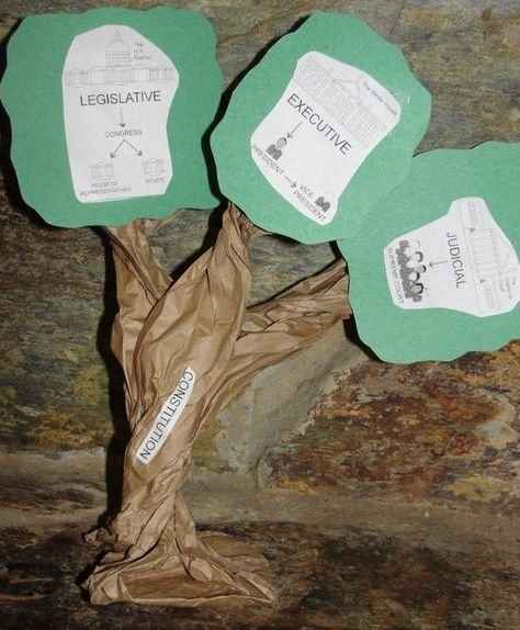 3 Branches of Government