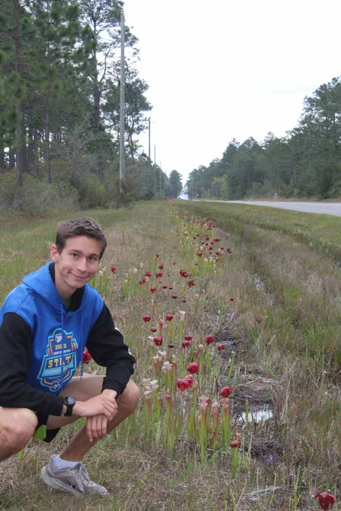 Yellow River Marsh Preserve has the largest community of pitcher plants in the state.