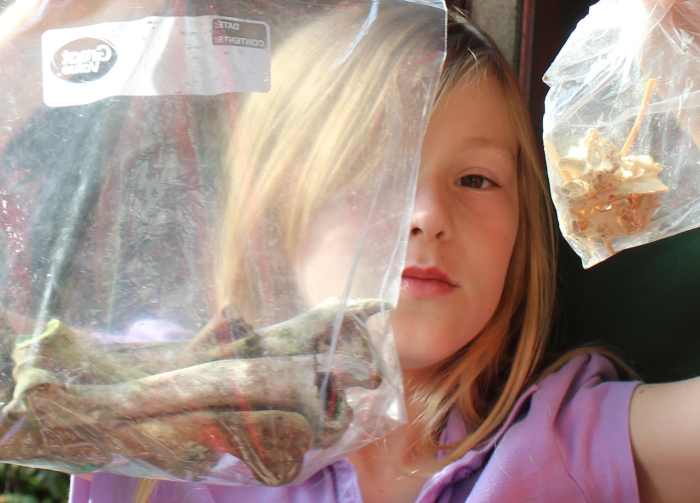 Comparing mammal bones (from a steak) to bird bones 