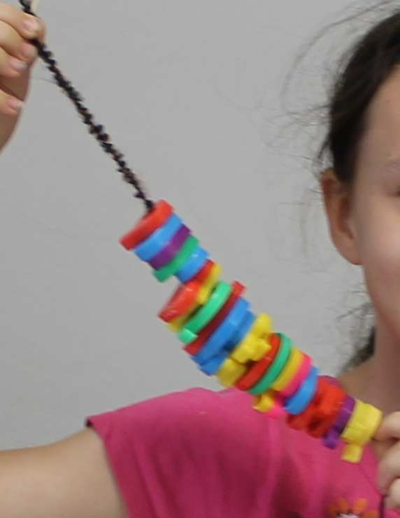 Model of a spinal cord & backbones