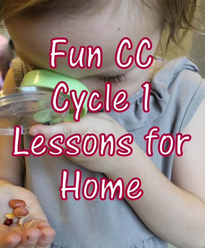 fun-cc-cycle-2-lessons-and-book-ideas-for-home