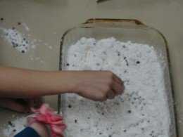 Arctic Animals & Camouflage Activity