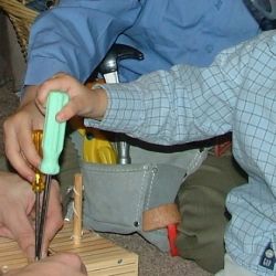 Constructing bird houses