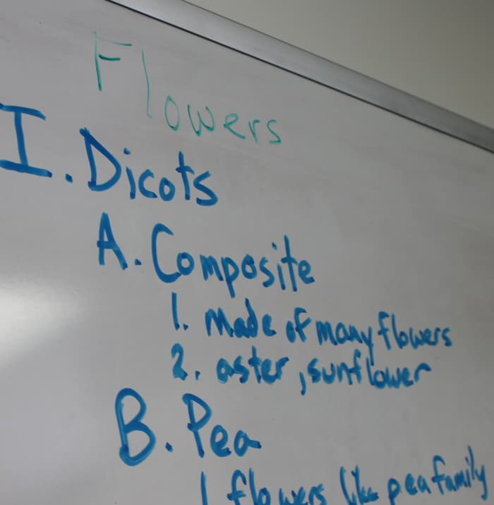 Learning about flower families - Either have them take notes OR