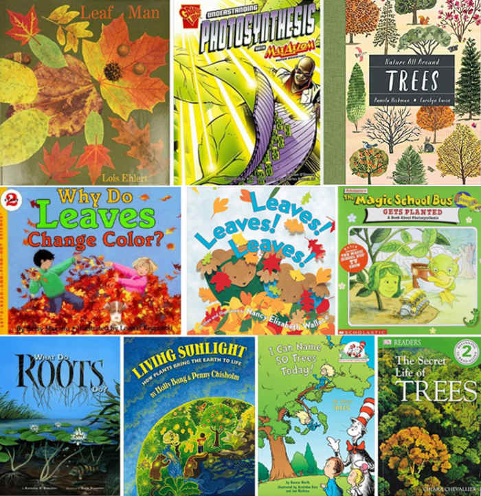 Favorite Children's Books on Roots, Stems, Leaves, and Trees