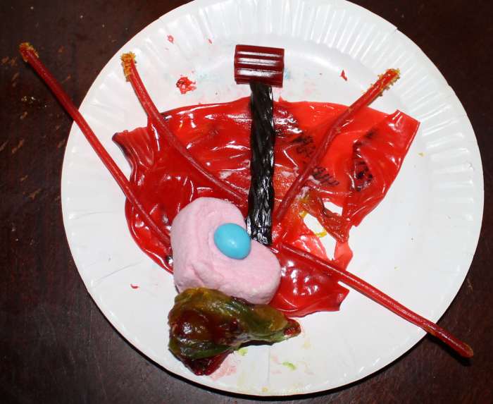 parts-of-a-flower-lesson