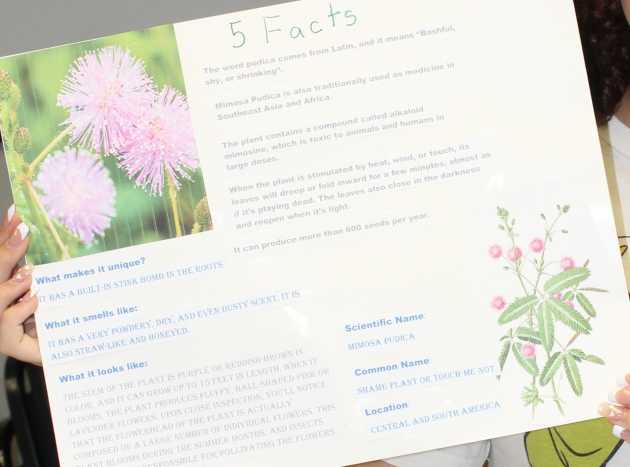 photosynthesis-and-plant-parts-lesson