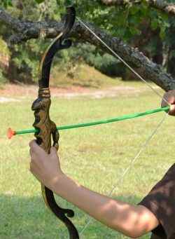 Hunting forest elephants - Photo taken by Michelle Harrison, who participates in our class