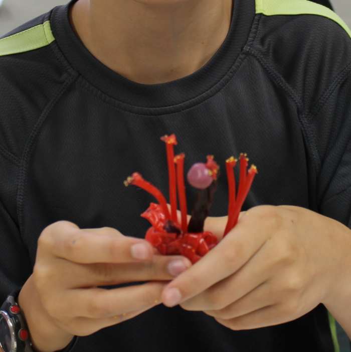 parts-of-a-flower-lesson