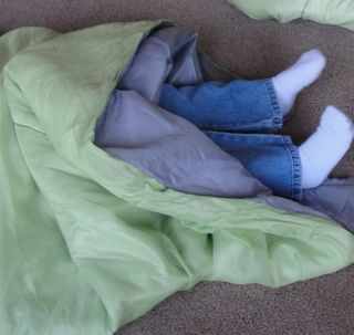 First the testa (seed coat) splits and the radicle (embryonic root) emerges. (Have the student stick their legs out of the sleeping bag to be the radicle.) In some sorts of seeds, the seed gets its nutrients from the endosperm (stored food). The stor