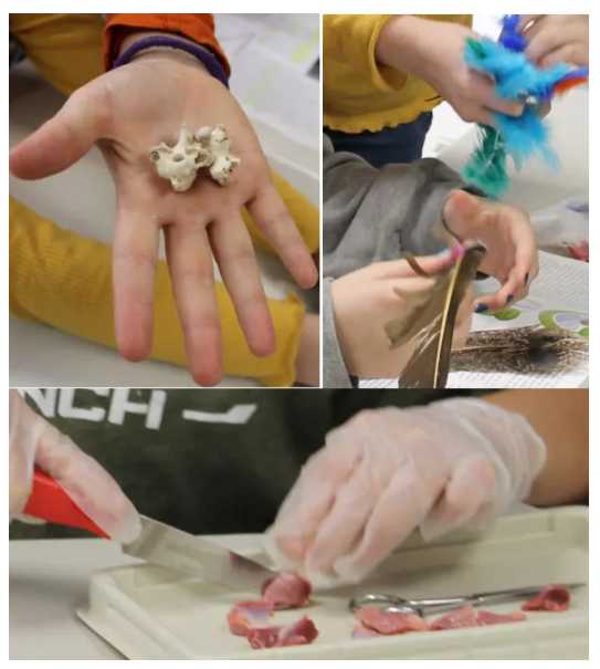 homeschool-and-family-ideas