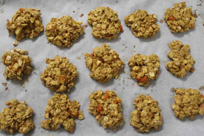 Baked Oatmeal-Carrot-Apple "Horse" Cookies