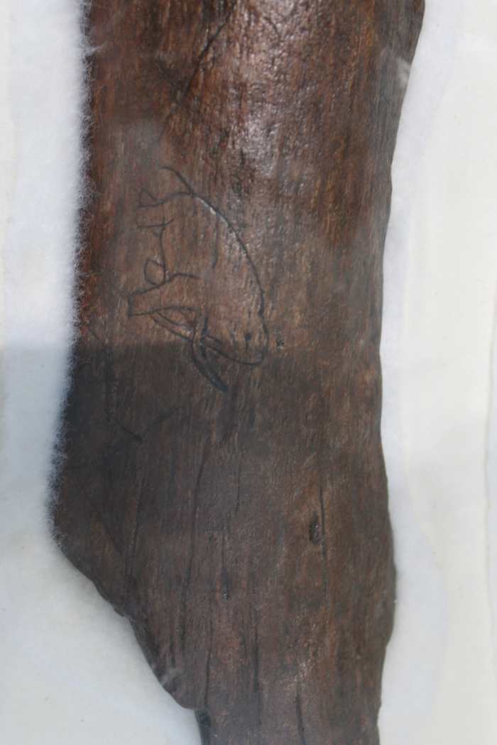 Mammoth engraving on a mammoth/mastodon/giant sloth bone - Florida Museum of Natural History in Gainesville, FL