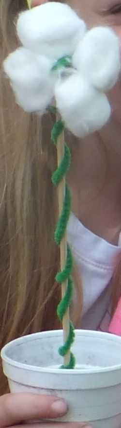 southern-states-lesson