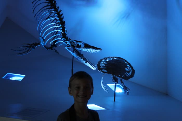  Houston Museum of Natural Science