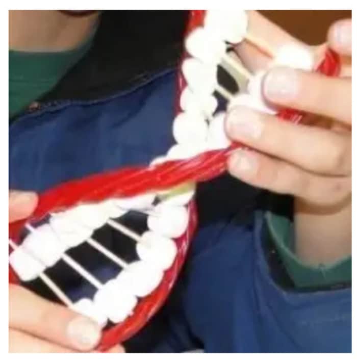 Edible DNA model from Human Anatomy Unit Study
