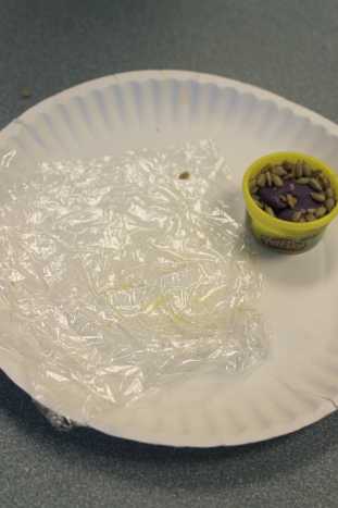 amphibians-reptiles-and-fish-coldblooded-vertebrates-lesson-plan