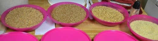 Various types of wheat