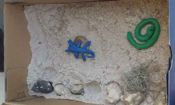 southwest-states-lesson