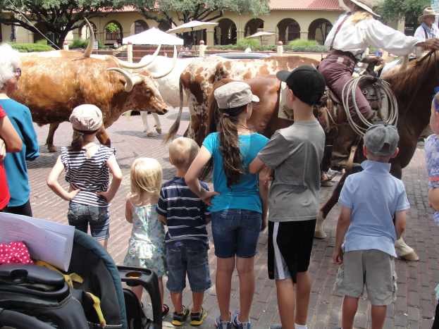 Then we followed the Chisholm Trail to the historic stockyards to watch a cattle drive. My kids were quite impressed by how long a longhorns horns actually are, and Lydia loved getting to see all the horses.