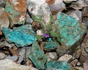 Copper found in Arizona 